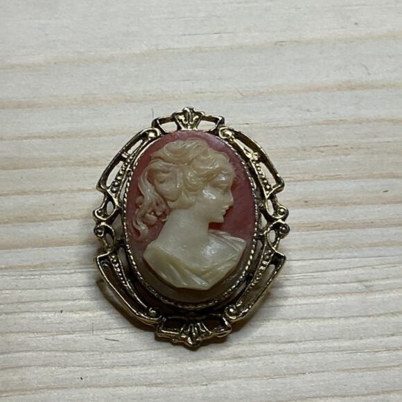 Vintage Cameo Brooch Pin With Gold-Tone Frame & Red Background - Picture 1 of 3